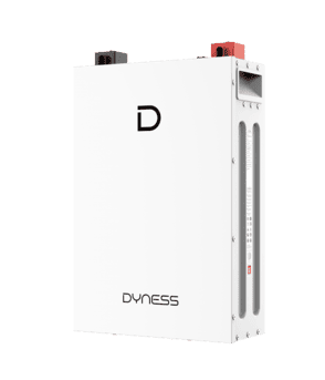 Аккумуляторная батарея Dyness DL5.0F