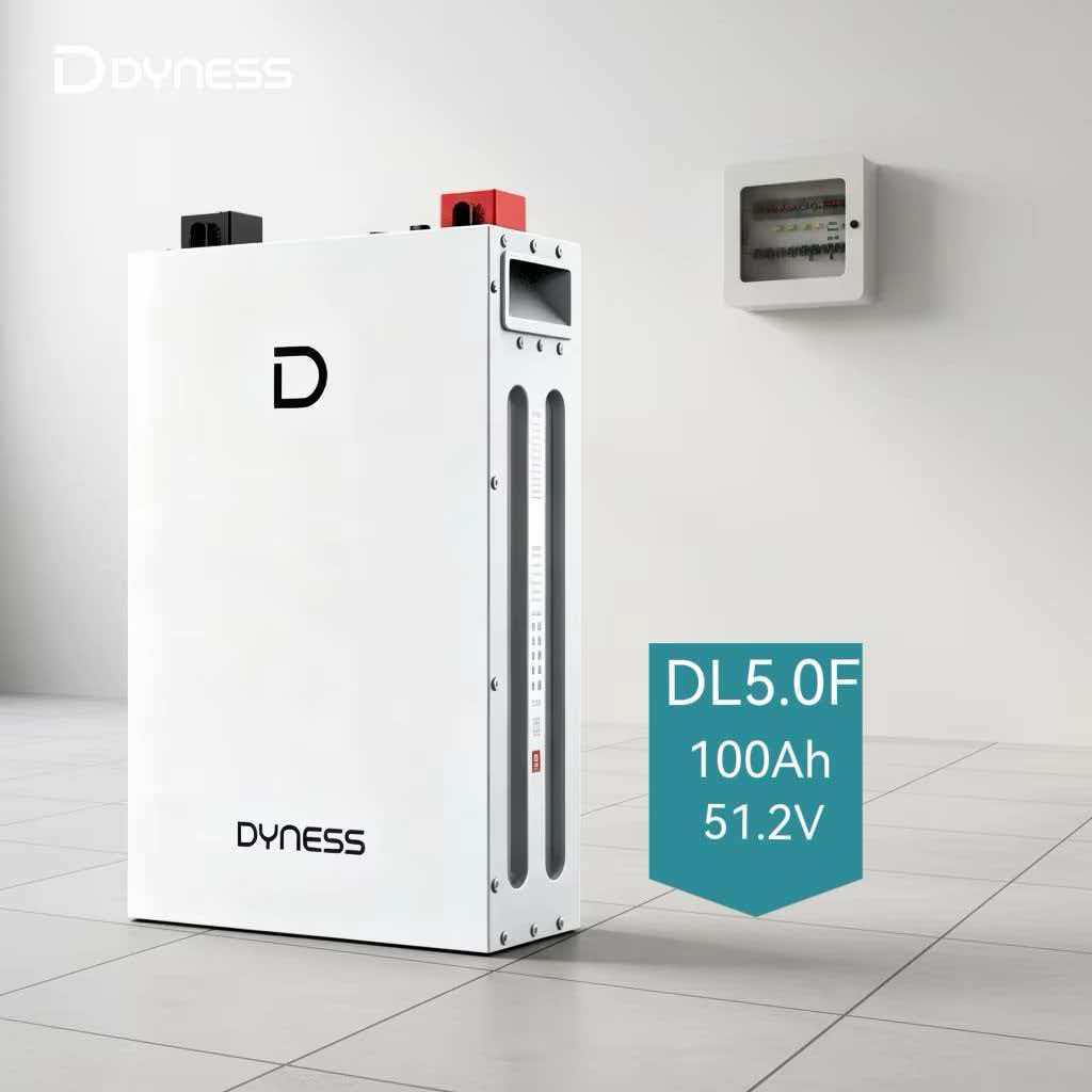 Аккумуляторная батарея Dyness DL5.0F