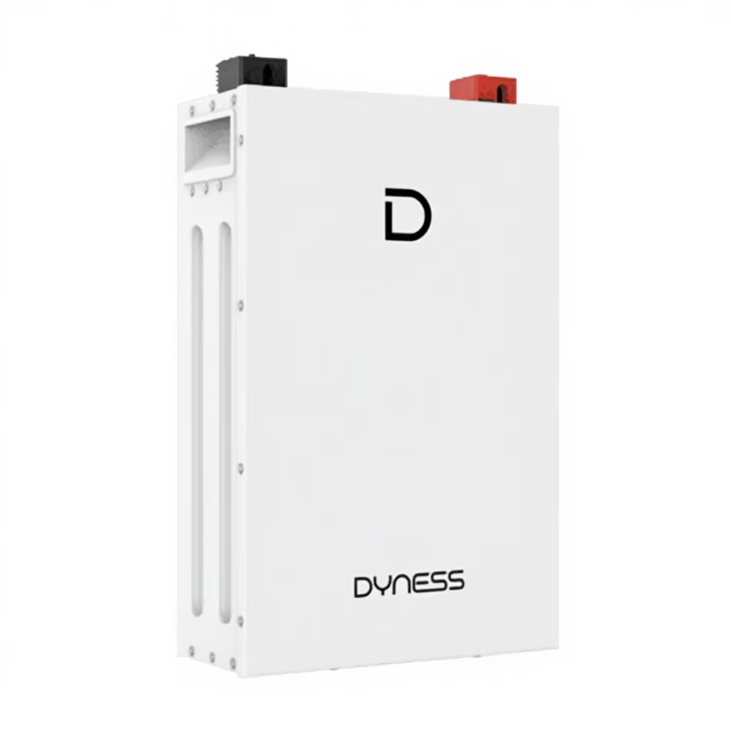 Аккумуляторная батарея Dyness DL5.0F