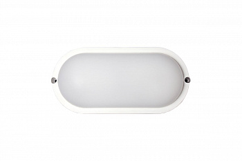 LightPhenomenON LT-LBWP-10-IP65-12W-6500К Е1601-1009 Банник